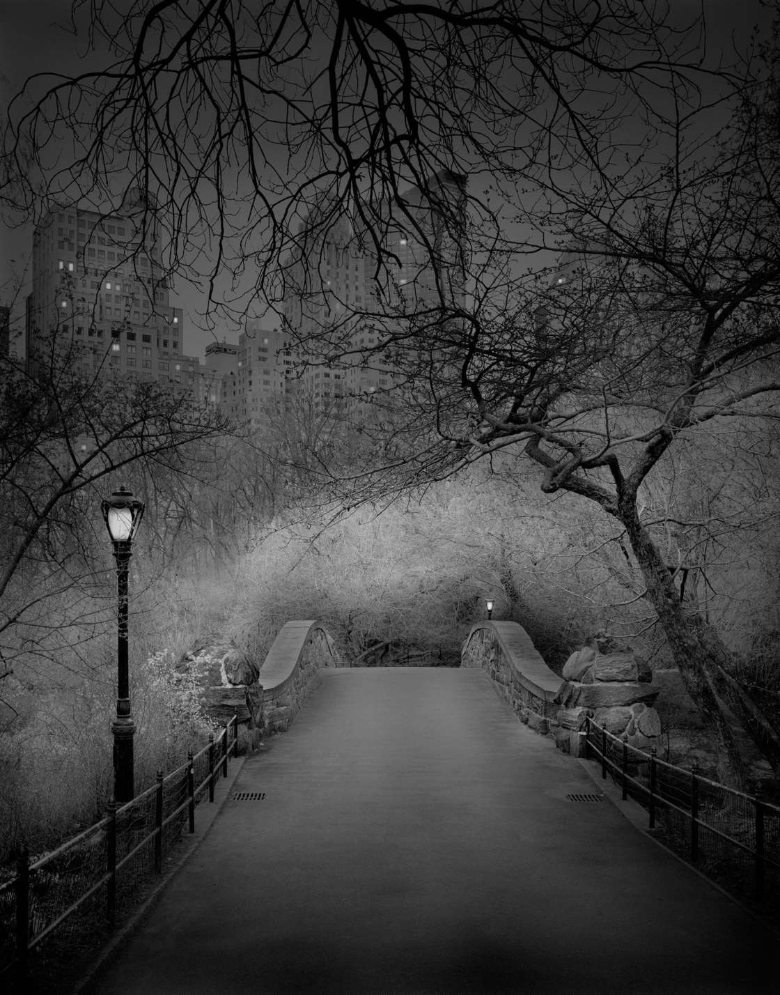 Michael-Massaia-central-park-5