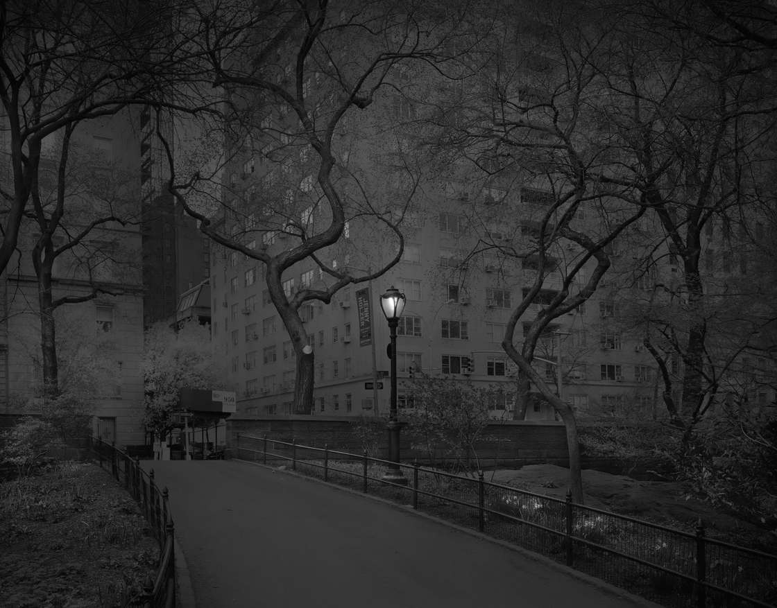 Michael-Massaia-central-park-6