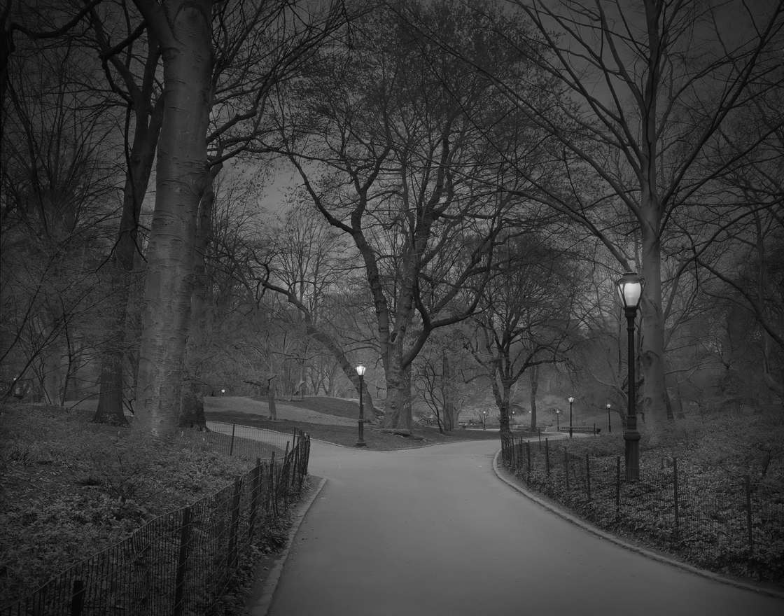 Michael-Massaia-central-park-8