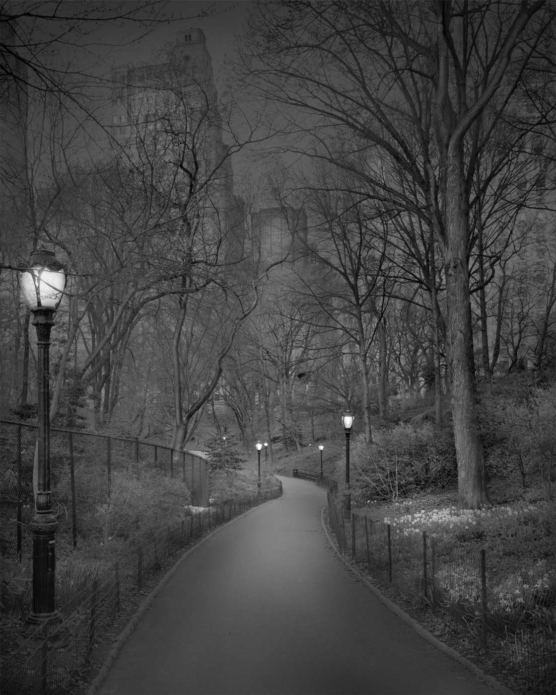 Michael-Massaia-central-park-9