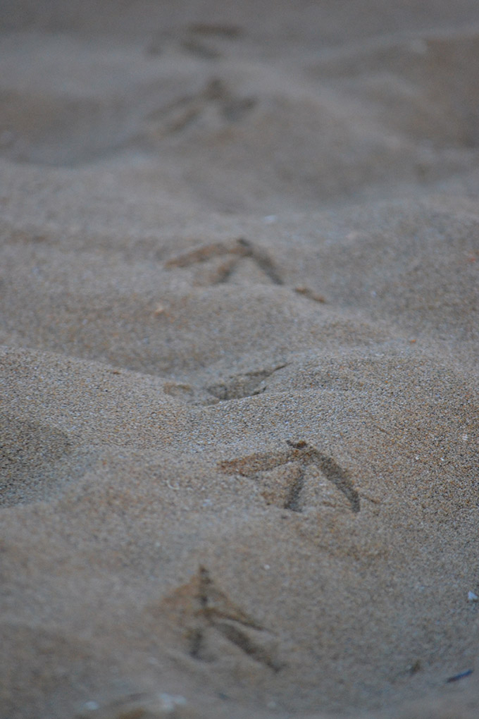 Lido di Jesolo/Fotó: Myreille, 2018