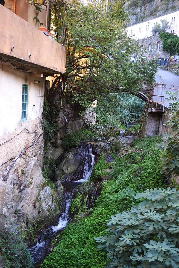 Cinque Terre: Manarola