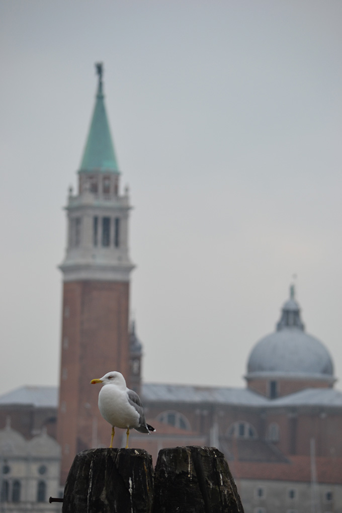 Velence, Olaszország (Venezia)/Fotó: Myreille, 2019