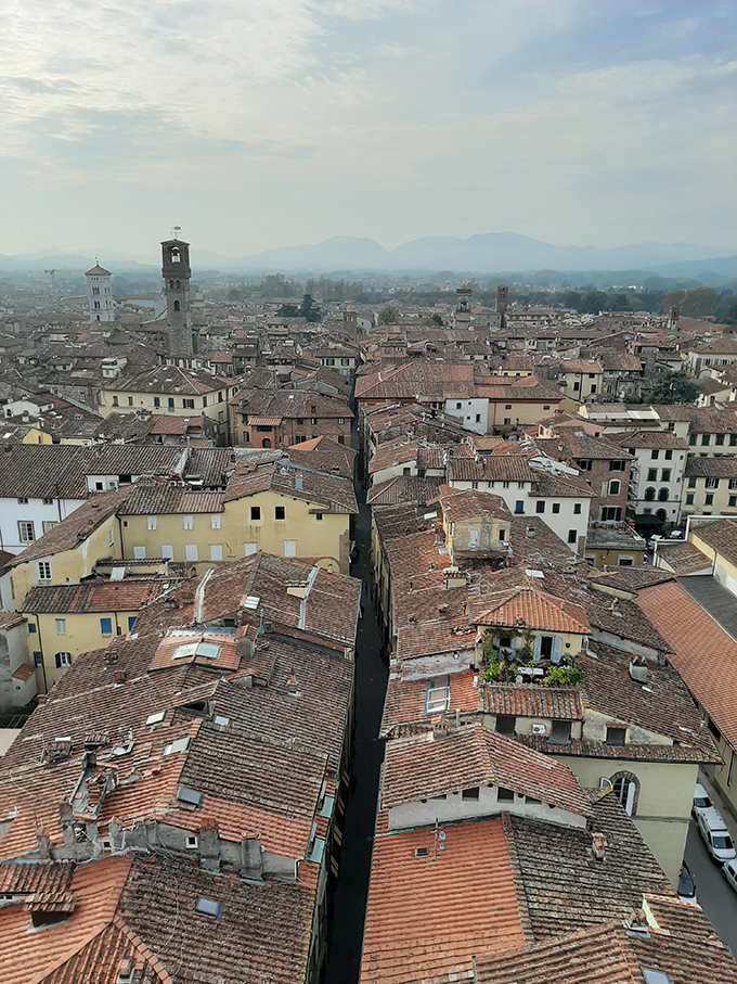 Lucca/Fotó: Myreille, 2019