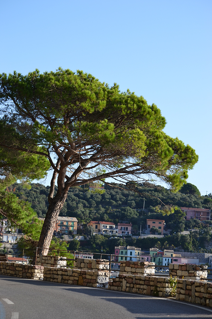 Portovenere/Fotó: Myreille, 2019