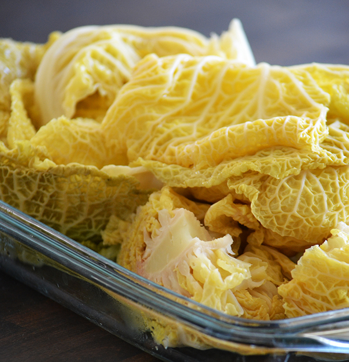 Cooked savoy cabbage/Photo: Myreille Cooked savoy cabbage/Photo: Myreille