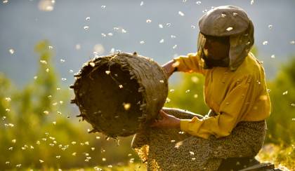 Honeyland (Mézföld)