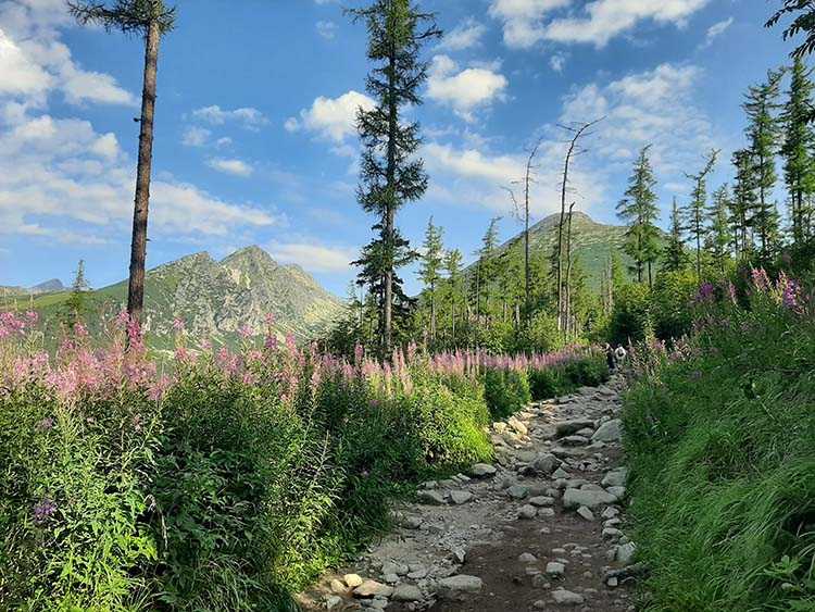 Irány a Popradské pleso (Poprádi-tó)