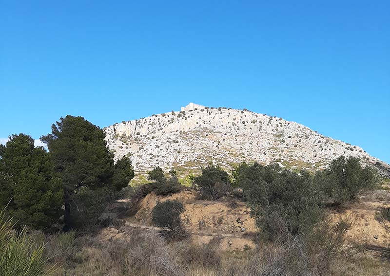 Castell del Montgrí – Fotó: Myreille