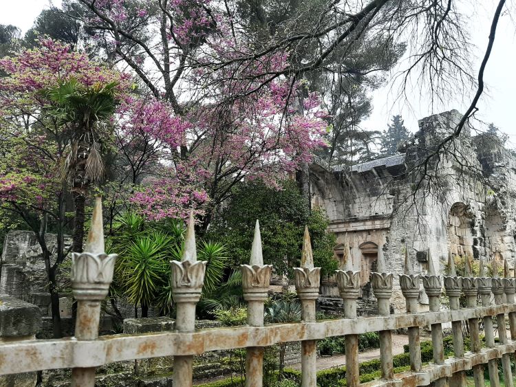Le Temple de Diane, Nîmes Nimes