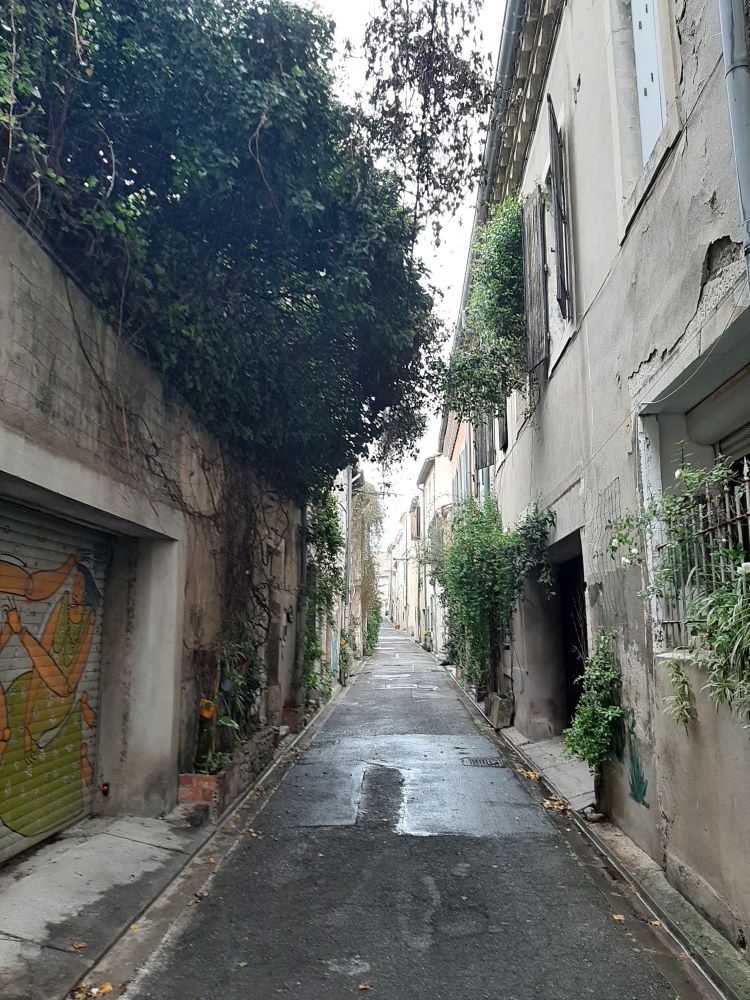 Rue Robert, Nîmes Nimes