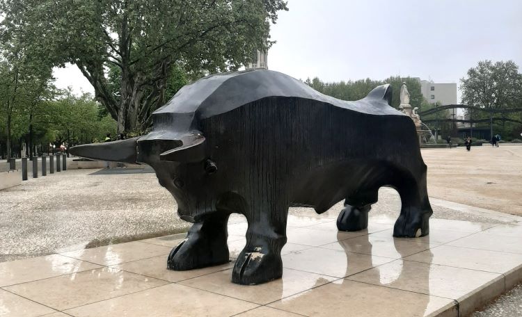 Le taureau des arènes de Nîmes Nimes