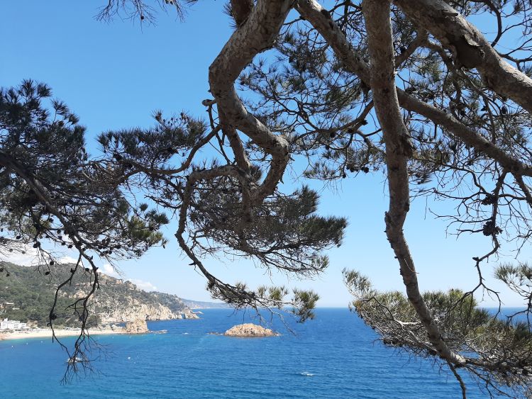 Tossa de Mar Tossa de Mar