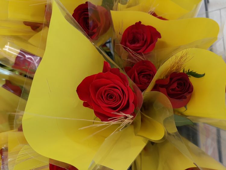 Santa Jordi Santa Jordi